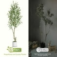 thumbnail image 5 of Artificial Olive Trees, 5/6/7 ft Tall Fake Olive Trees for Indoor, Faux Olive Silk Tree, Large Olive Plants with White Planter for Home Decor and Housewarming Gift, 1/2Pack, 5 of 6