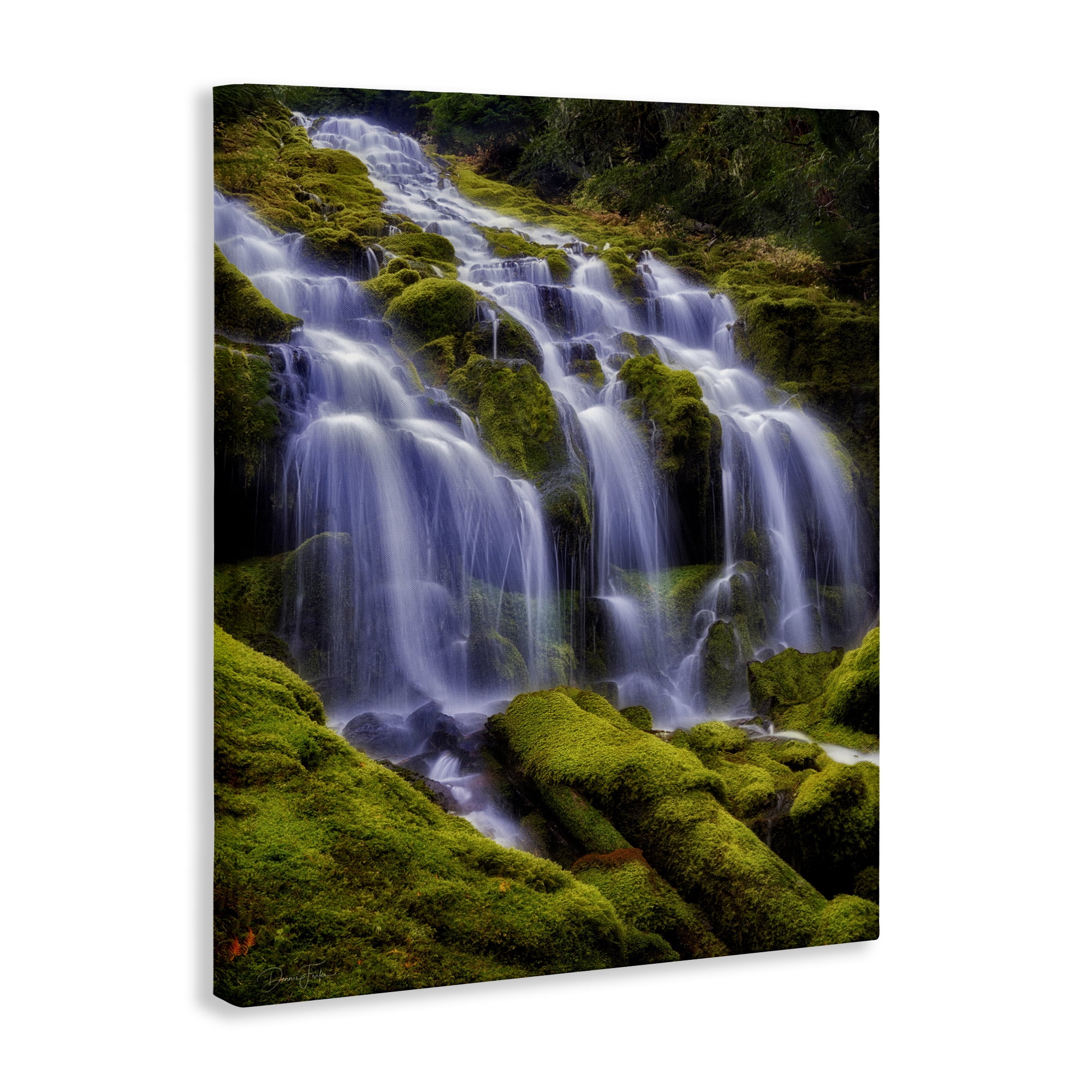 Stupell Industries Upper Proxy Falls Canvas Wall Art, design by Dennis Frates