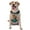 With Accessories, variant on Vsdgher Underwater Swimming Duck Pattern Dog Harness,No Pull Pet Harness with Soft Padded Handle,Adjustable Reflective Vest with 2 Buckles,4 Slide Buckles,S-XL Large