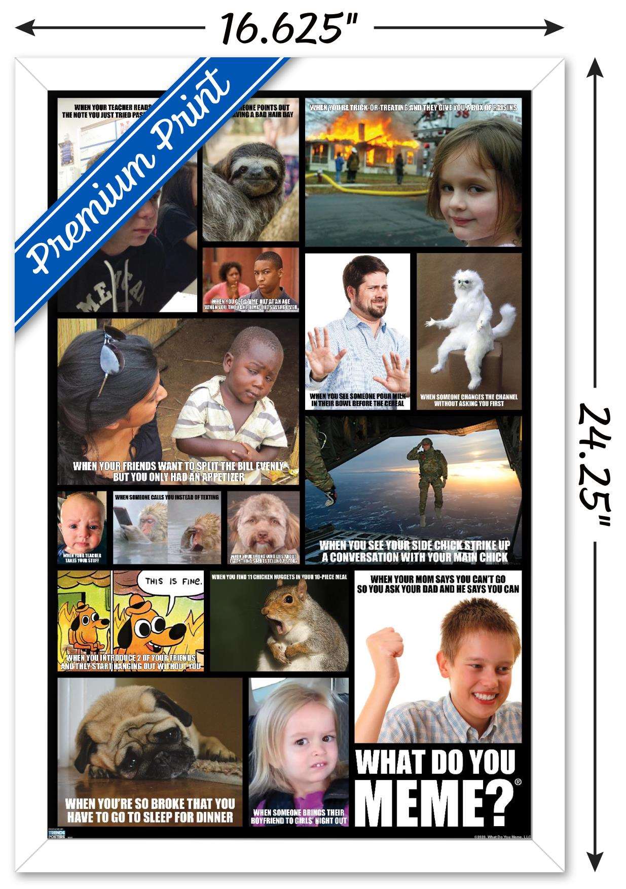 What Do You Meme - Grid Wall Poster, 14.725" x 22.375", Framed