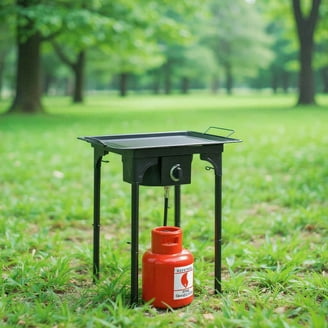 Coleman® Triton™ Propane Gas Camping Stove, 2-Burner - Walmart.com