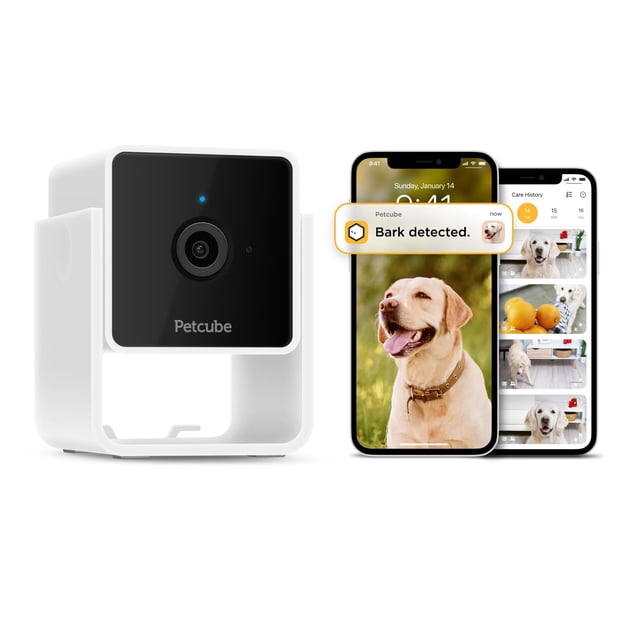 Cámara de seguridad Petcube