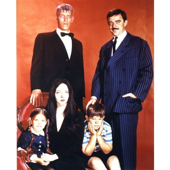 Addams Family The Poster 16x24 Poster Medium Art Poster 16x24 Unframed, Age: Adults, Rectangle Best Posters