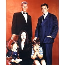 Addams Family The Poster 16x24 Poster Medium Art Poster 16x24 Unframed, Age: Adults, Rectangle Best Posters
