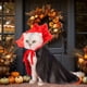 thumbnail image 1 of Pet Halloween Cloak Personality Funny Christmas Cloak Cats Clothing Dog Pet Clothing, 1 of 8
