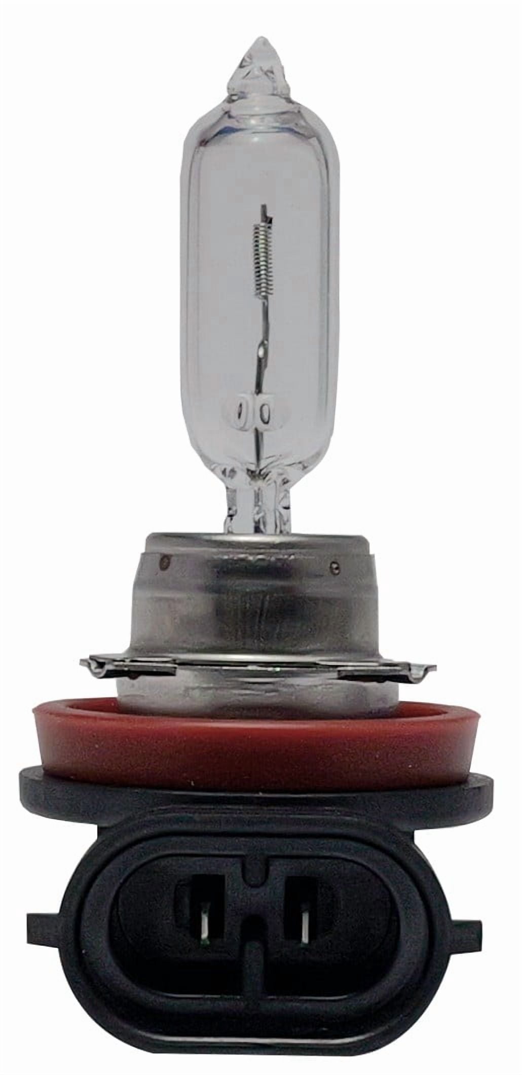 EverStart H9 Halogen Headlight Bulb, 1 pack, Compatible with Multiple Cars