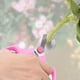 thumbnail image 4 of Podadoras de jardín, Tijeras de podar con trinquete para jardinería, Trabajo 3 veces más fácil, Podadoras manuales, Cortar rosas, flores, árboles, plantas vivas, Afiladas, Tijeras de podar duraderas,, 4 of 5