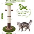 thumbnail image 3 of 34inches Tall    with  Ball Track   and Thicker Large Diameter  Sisal  Scratcher  for Indoor Cats Protect Your Furniture, 3 of 7