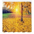 thumbnail image 3 of Ambesonne Autumn Shower Curtain, Evening Natural Park, 69"Wx70"L, Yellow Green, 3 of 5
