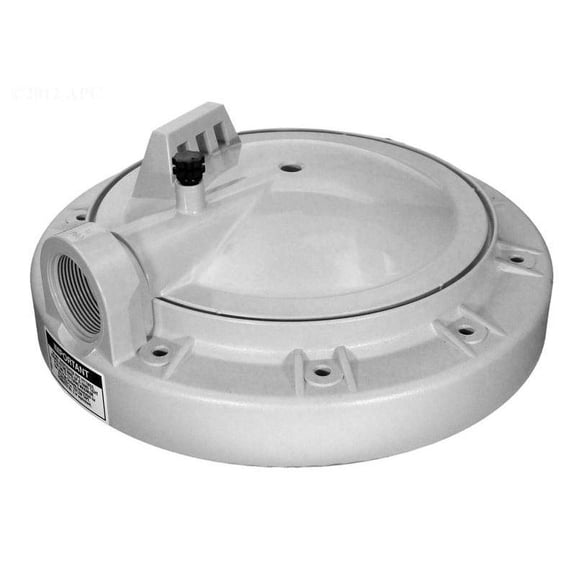Hayward Head Filter with Vent ECX1131P