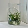 thumbnail image 4 of WGV Clear Cylinder Glass Vase - 10" Wide x 16" Height, Good quality, Heavy Weighted Base - 1 Pc, 4 of 7