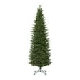 thumbnail image 1 of Vickerman 120" Eagle Frasier Slim LED Lights Artificial Christmas Tree in Green, 1 of 2