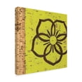 thumbnail image 2 of Trademark Fine Art 'Key Lime Rosette I' Canvas Art by Chariklia Zarris, 2 of 4