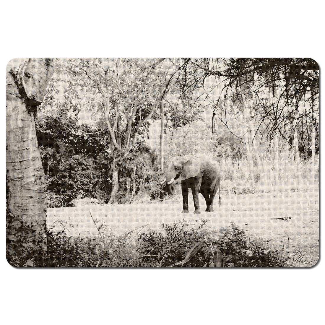 Elephant jungle (Placemat)