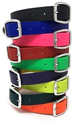 Regal Dog Products Waterproof Collar with Double Buckle and D Ring