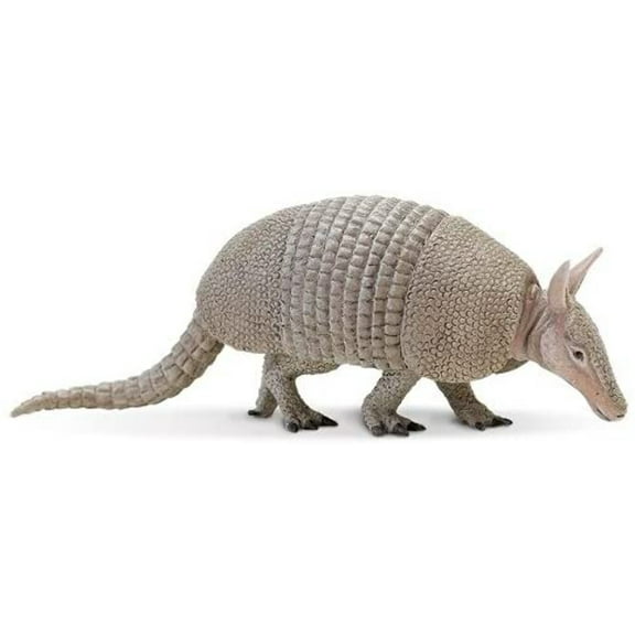 Safari Ltd. | Armadillo | Incredible Creatures | Toy Figurines for Boys & Girls