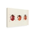 thumbnail image 2 of Annie Warren 'Ladybug Display I' Outdoor All-Weather Wall Decor, 2 of 3