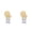 B*2-4.72x10.23 Inch, variant on Animal Blank Wooden Wind Chime Kit, DIY Painting Wood Wind Chime, Handmade Hanging Wood Ornament, Unfinished Wooden Hanging Ornaments, Natural Wood Wind Chimes Craft 1Pcs