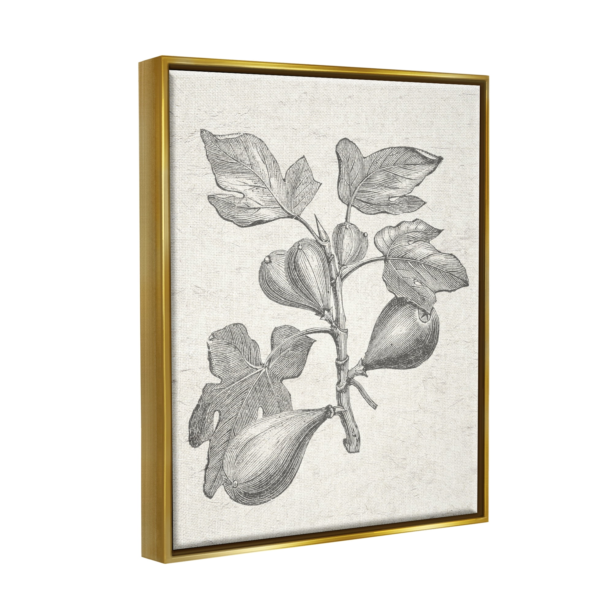 Stupell Industries Vintage Fig Plant Study Drawing Botanical & Floral Painting Gold Floater Framed Art Print Wall Art