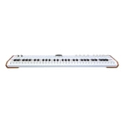 Arturia AstroLab 61-Key Semi-Weighted Stage Keyboard With 1300 Sounds and Analog Lab Pro Software Included