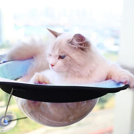 Cat Window Hammock Space Capsule Metal Supported from Below Cat Seat