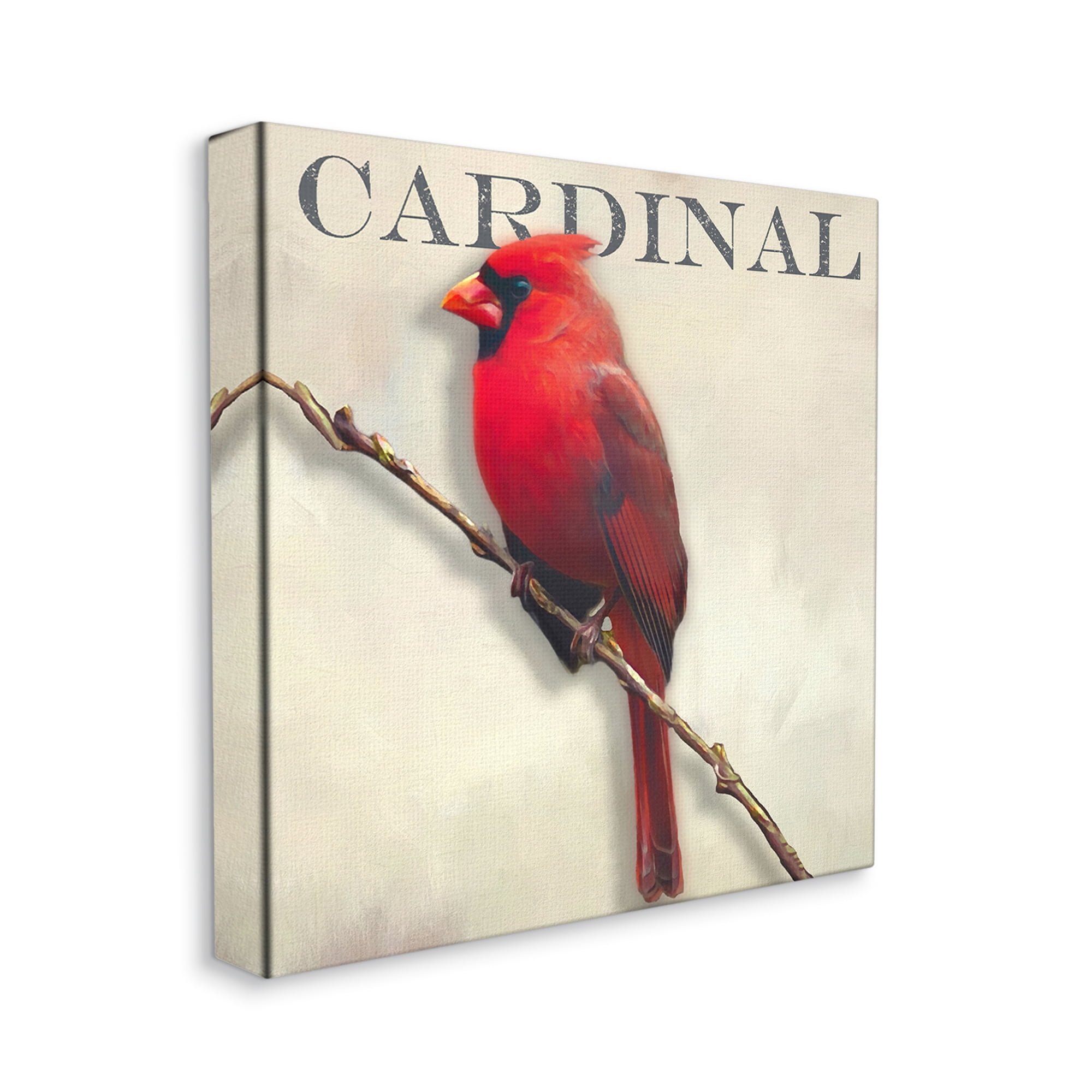 Stupell Industries Bold Red Cardinal Bird Portrait Rustic Text Design Canvas Wall Art, 30 x 30, Design by Alpenglow Workshop