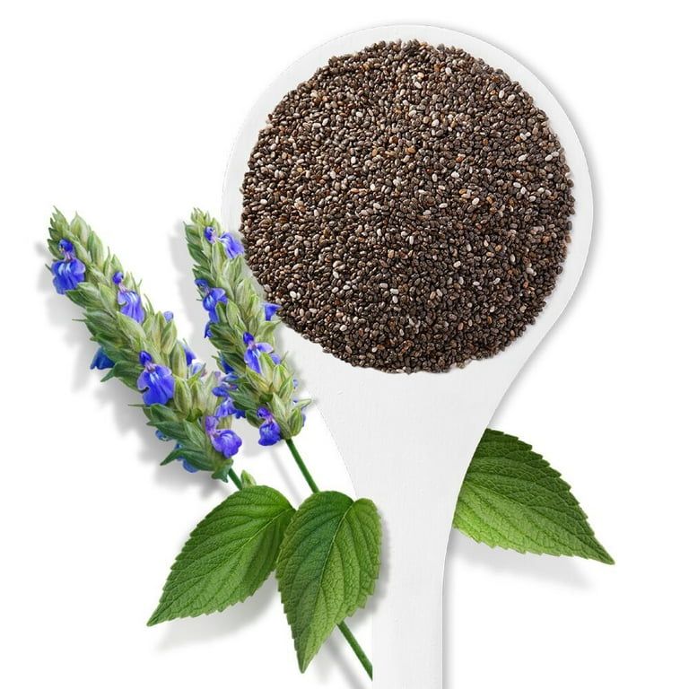 Navitas Organics Raw Chia Seeds, 1.0 Lb, 38 Servings - High