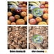 thumbnail image 3 of Lavadora Portátil de Frutas y Verduras Eficiente con USB, Lavadora y Centrifugadora Automática para Limpiar Frutas y Verduras., 3 of 5