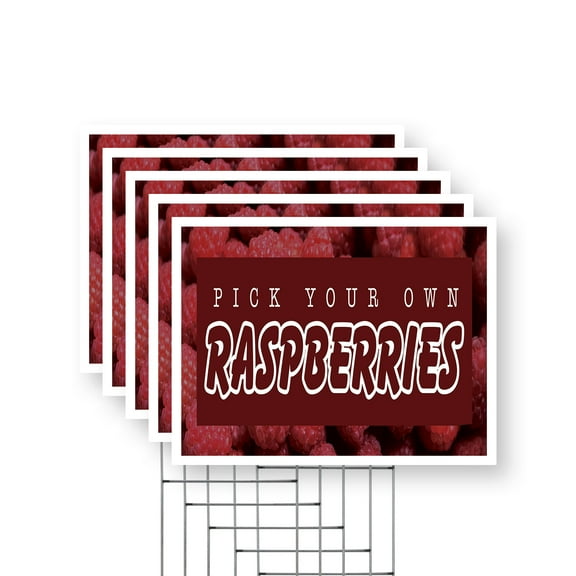 Pick Your Own Raspberries Yard Sign 5 Pack of 12 Inch x 16 Inch Single Sided Weatherproof Heavy-Duty Plastic with Stake | Sweet Berries, Freshly Harvested, Farmer’s Markets | Made in