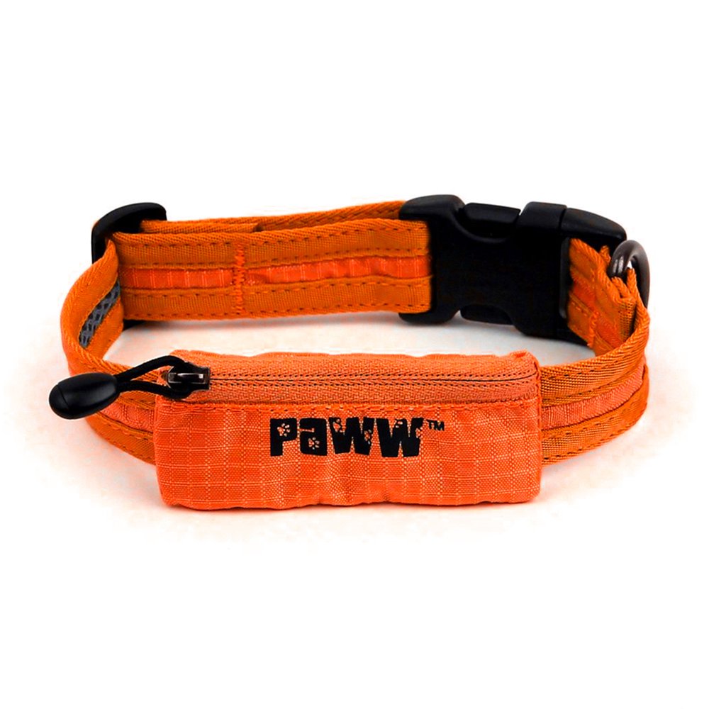 Paww Secret Agent Dog Collar Tag Pocket Light Mesh Snap Buckle Pets