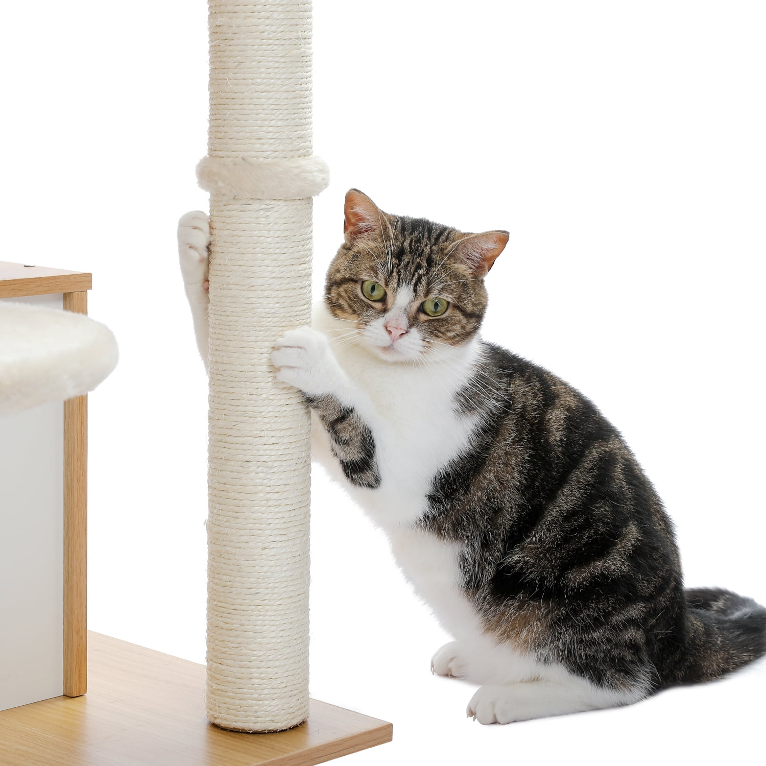 Pefilos 51" Wooden Cat Trees Towers for Large Cats with Cat Scratching Post and Removable Soft Perches Modern Cat Condo for Indoor, Beige Pefilos 51" Wooden Cat Trees Towers for Large Cats with Cat Scratching Post and Removable Soft Perches Modern Cat Condo for Indoor, Beige