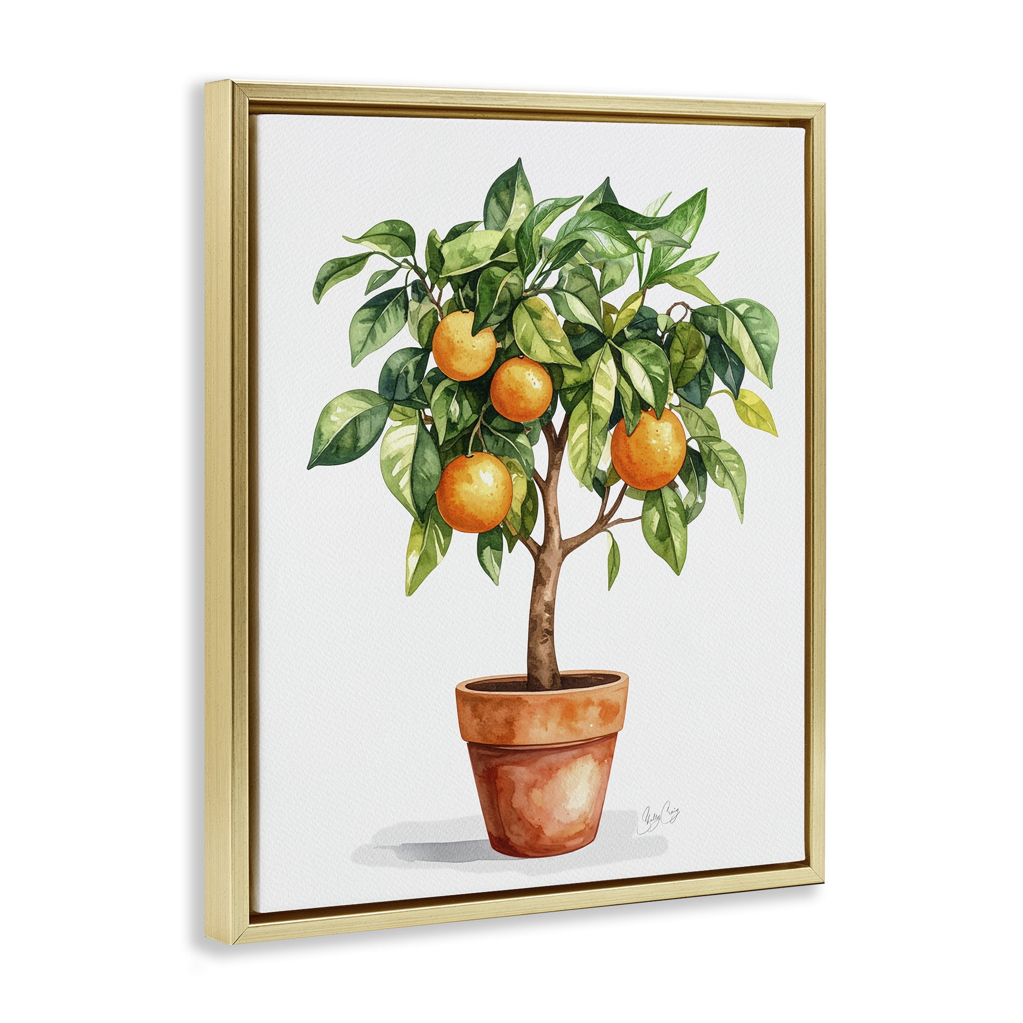 Stupell Industries Potted Orange Tree Gold Framed Floater Canvas Wall Art, design by Shelly Craig