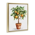 thumbnail image 2 of Stupell Industries Cottage Potted Orange Tree Gold Floating Frame Canvas Art, 17 x 21, by Shelly Craig, 2 of 8