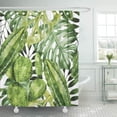 thumbnail image 1 of ABPHQTO Pintura Acuarela Patrones Sin Fisuras Plantas Tropicales y Suculentas Papel Pintado Cortina de Ducha 150x180 cm, 1 of 1