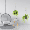 thumbnail image 2 of 8 Pieces Macrame Beige Plant Hanger Extender Rope Plant Hanging Basket Extender Large Hanging Plant Pot Holders (Beige), 2 of 7