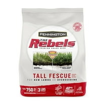 Pennington The Rebels Tall Fescue Grass MTN1 Seed Mix 3 lb