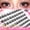 puppy eyelashes, variant on Glue-free false eyelashes, dog-eye style, natural manga effect, large-capacity eyelash set