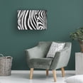 thumbnail image 3 of Trademark Fine Art Richard Guijt Zebra Stripes Canvas Wall Art, 3 of 4
