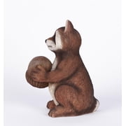 Racoon Holding Acorn