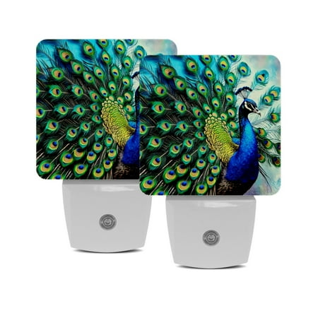 

LED Night Lights Plug into Wall 2-Pack 0.5W Plug in Night Light Dusk to Dawn White Bright Nightlight for Bedroom Bathroom Hallway Kitchen Peacock Vintage Painting