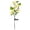 B, variant on Fruit Branch Solar Garden Stake Lights IP65 Waterproof Lemon Pear Cherry Shaped LED Decorative Solar Pathway Lamp Auto On Off Realistic Outdoor Landscape Lighting for Yard Patio Lawn Balcony Terrace