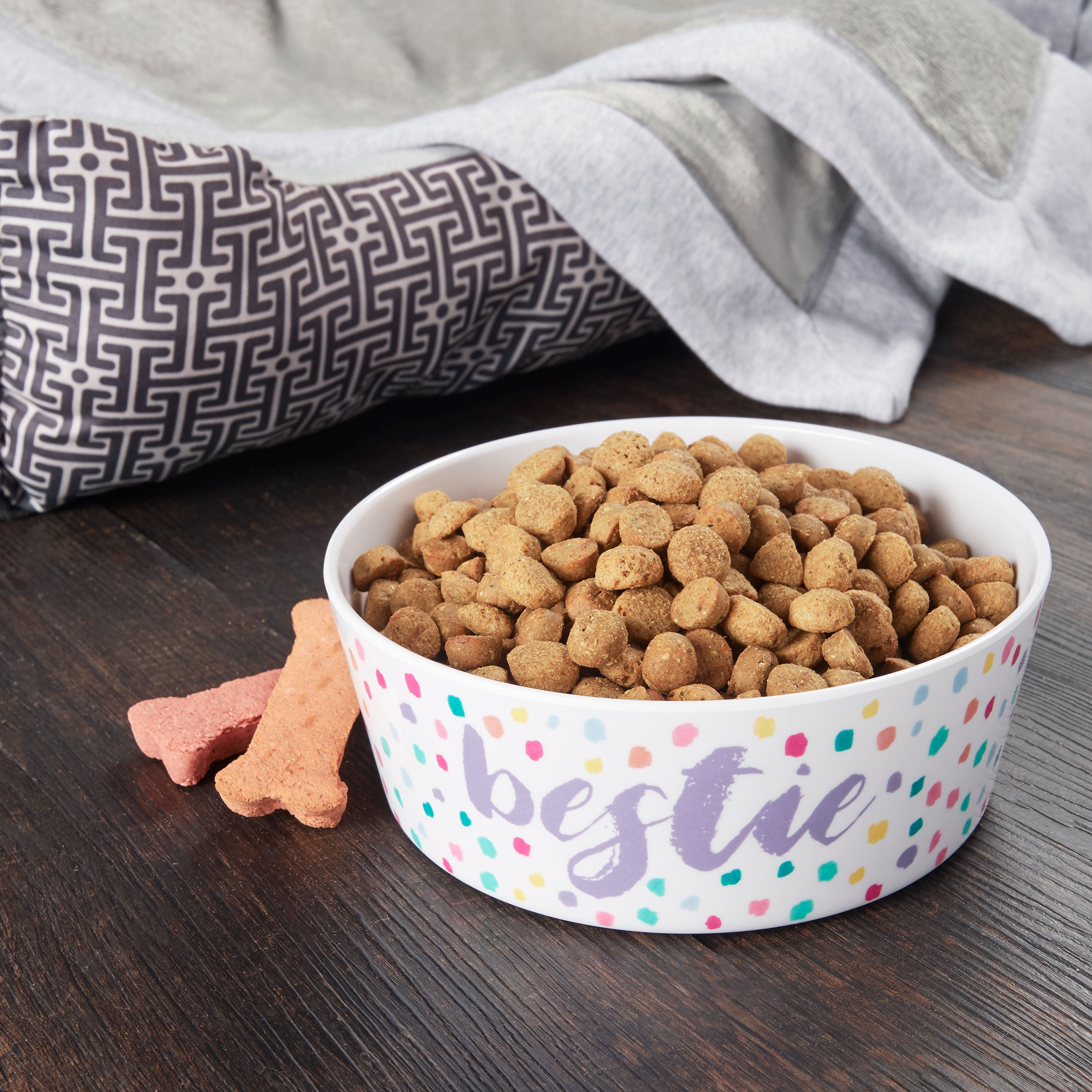 Vibrant Life Plastic Pet Bowl, Bestie, Medium