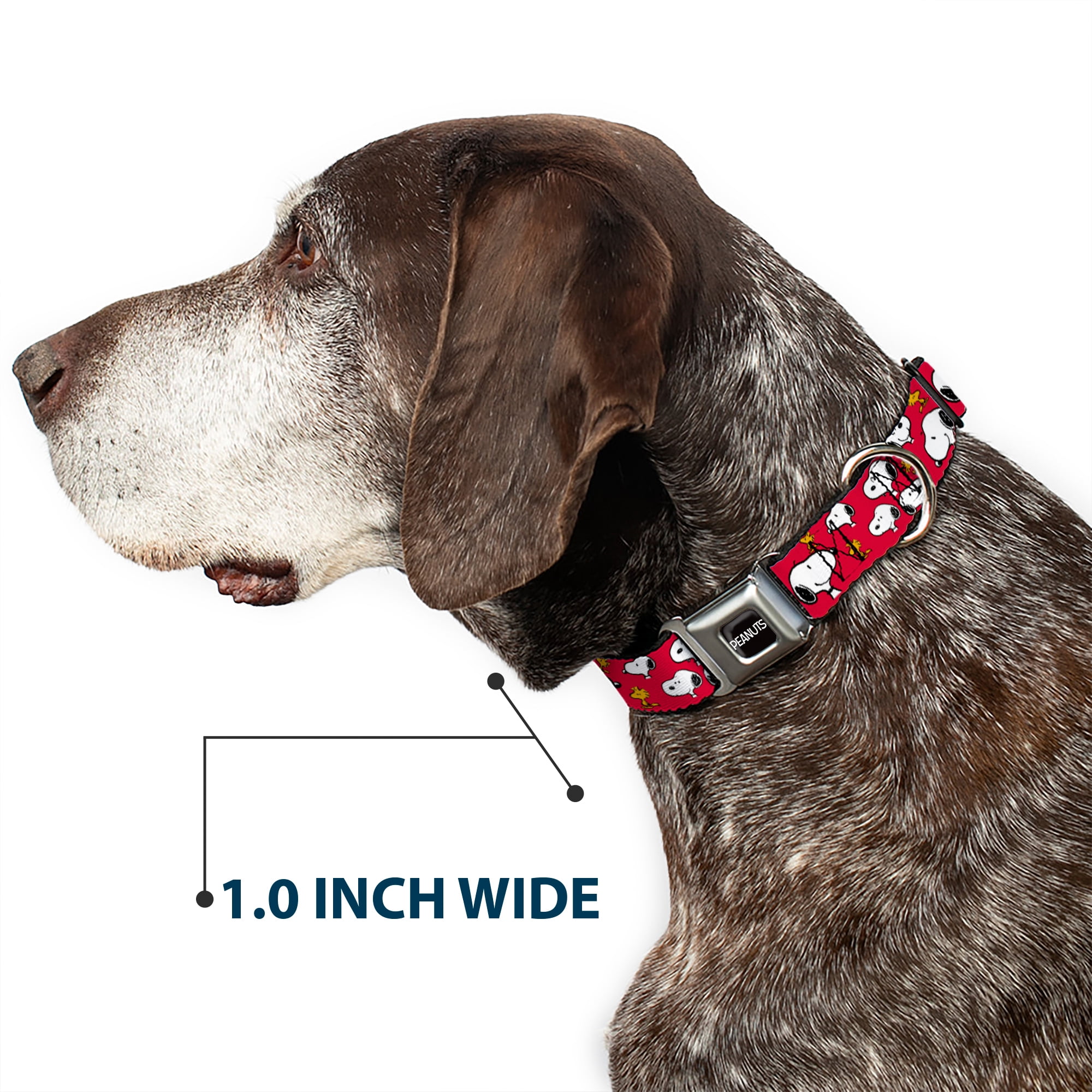 Peanuts Worldwide LLC Pet Collar, Dog Collar Metal Seatbelt Buckle, Peanuts Snoopy and Woodstock Poses Scattered Red, 9.5 to 13 Inches 1.0 Inch Wide
