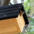 thumbnail image 4 of Nature's Way Cedar Hanging Wren Bird House, 4 of 9