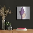thumbnail image 3 of Luxe Metal Art 'Shimmering Shells 9'  by James Wiens Metal Wall Art, 12" x 12", 3 of 8