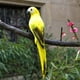 thumbnail image 1 of Nvzi 2 piezas de pájaros artificiales de 9,9 pulgadas, loro realista con modelo de decoración de loro con plumas realistas para decoración artesanal, amarillo A, 1 of 4