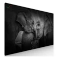 thumbnail image 1 of Cuadro Decorativo Sublimado IDEAS CREATIVAS IN para Sala Elefantes Africanos, 1 of 5