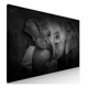 thumbnail image 1 of Cuadro Decorativo Sublimado IDEAS CREATIVAS IN para Sala Elefantes Africanos, 1 of 5