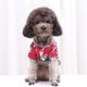 thumbnail image 3 of CHAO Camisas para perros y gatos, camisetas hawaianas elegantes de verano, ropa para mascotas con estampado suave, cómodo y transpirable para perros pequeños y grandes, gatos, 3 of 4