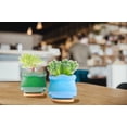thumbnail image 2 of Plant Pots With Drainage - 2X Indoor Plant Pots With Drainage,7.87 Inches Self-Watering Planting Basin Succulents Dish For Porch Desks Daily Use Balcony Greenhouse Windowsills Greenery Workplace 2 of 9